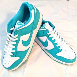 NWOT Nike Dunk Low Clear Jade and White Mens sz 11.5 style DV0833-101